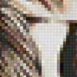 Предпросмотр схемы вышивки «зебры» (№50216)