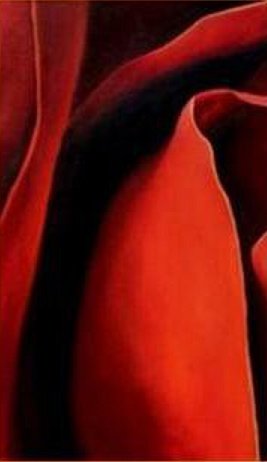 Роза часть 1 - цветы, роза - оригинал