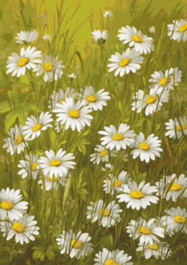 ромашки - цветы, живопись, фанзани - предпросмотр