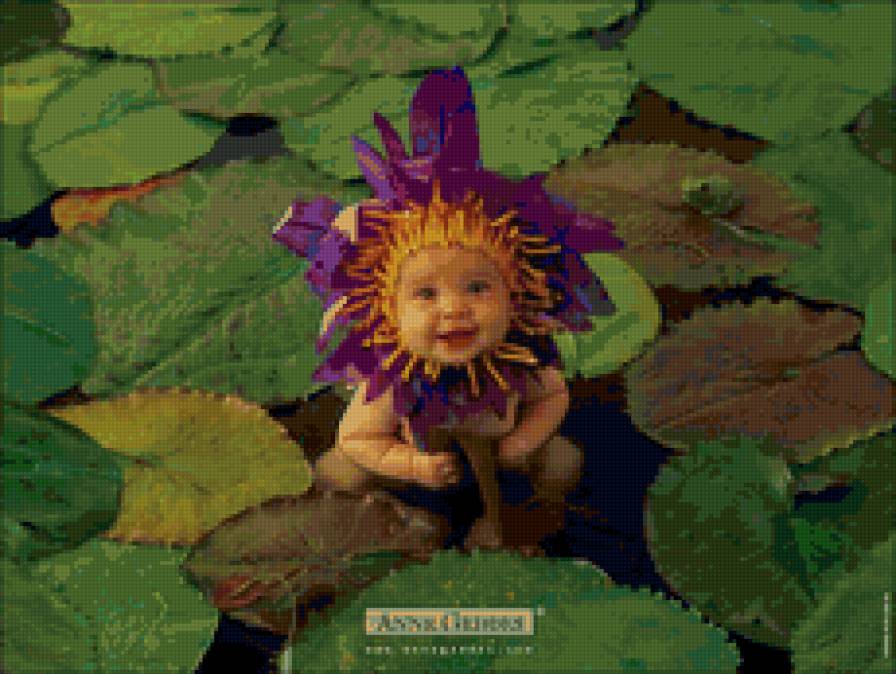 Дети - цветы жизни - младенец, цветок, анне гедес, дети - предпросмотр