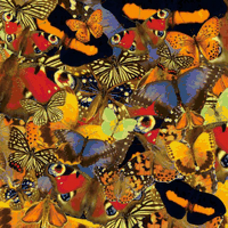 бабочки Гамма - предпросмотр