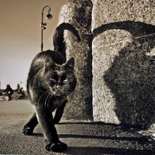 Схема вышивки «Мистер»