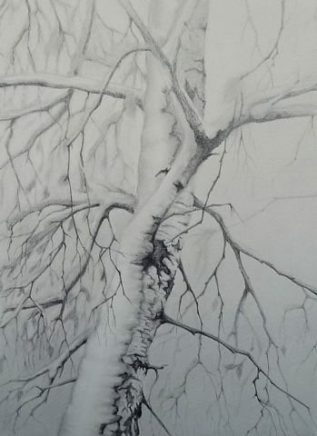 №50899 - оригинал