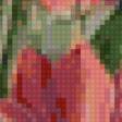Предпросмотр схемы вышивки «tulips» (№51020)