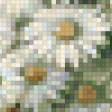 Предпросмотр схемы вышивки «Ромашки у окна» (№51139)