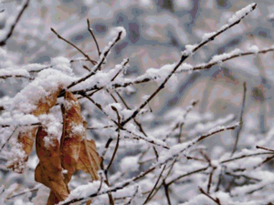 №51175 - предпросмотр