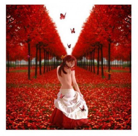 №51729 - осень, девушка - оригинал