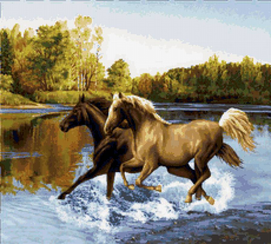 кони - лошади - предпросмотр