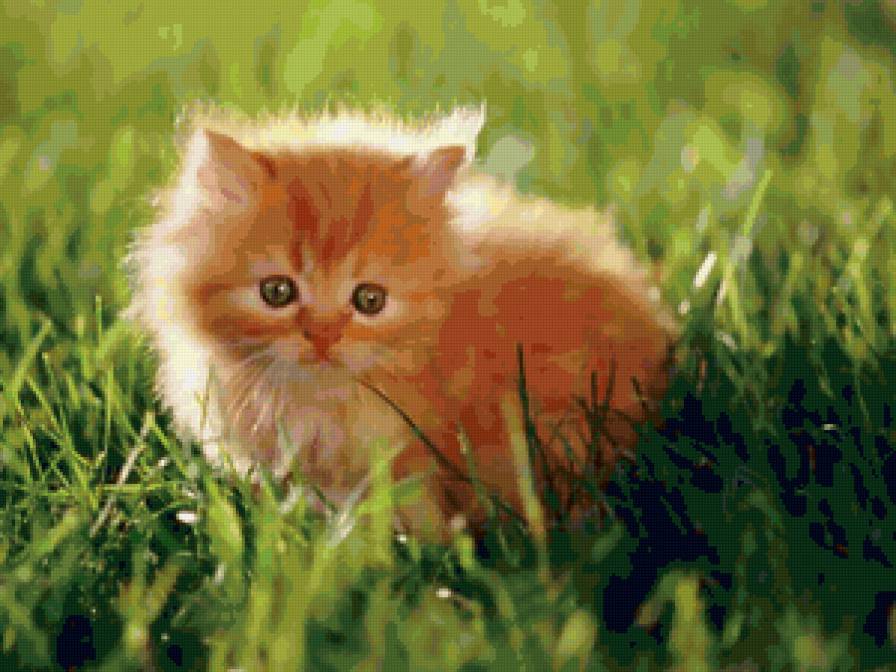 №52030 - предпросмотр