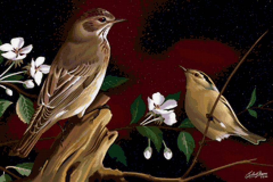 серия "птицы" - птицы.цветы. - предпросмотр