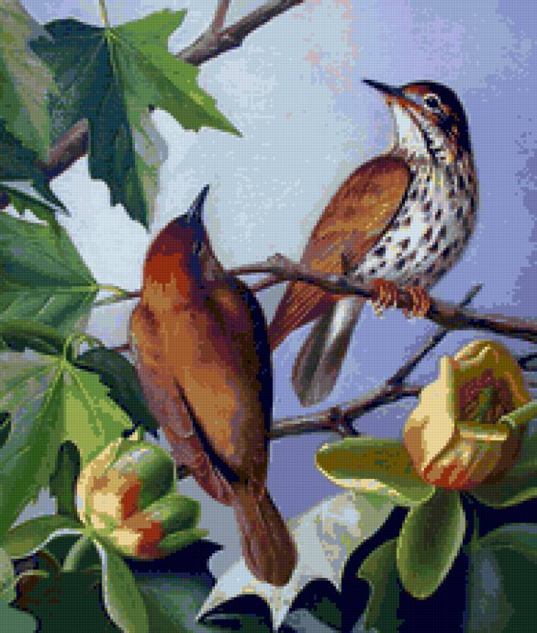 серия "птицы" - птицы.цветы. - предпросмотр