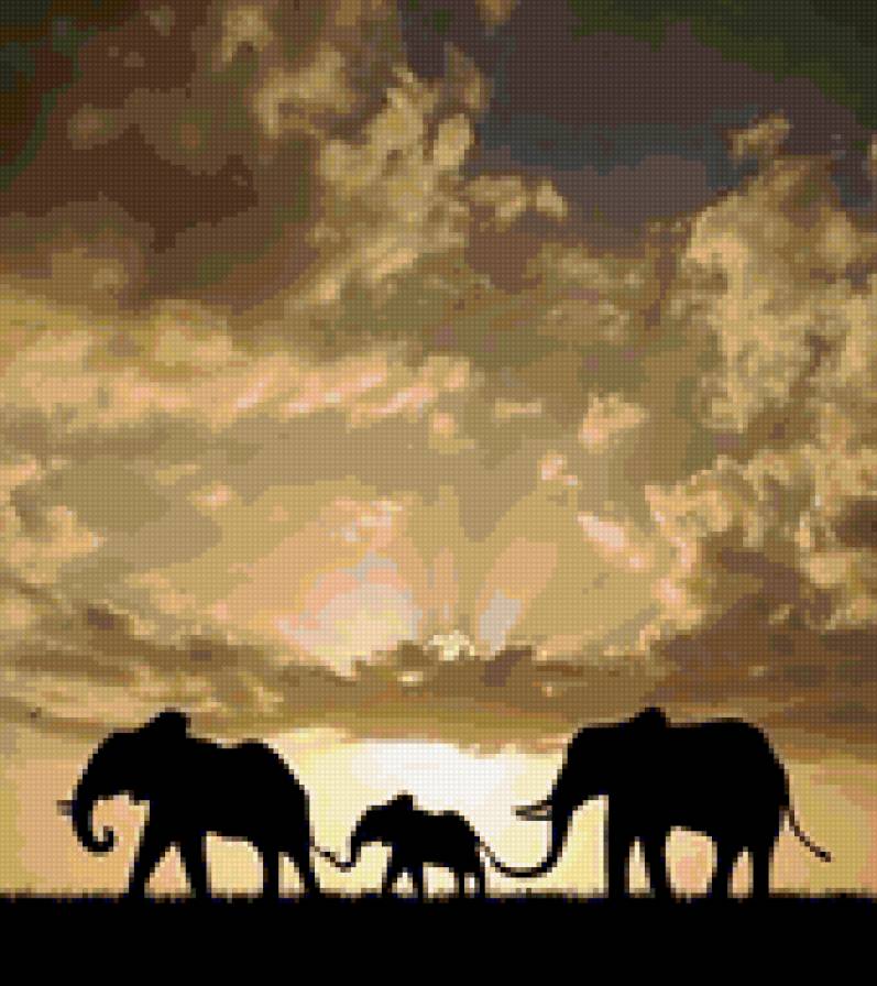 Семья слонов - слоны, семья - предпросмотр