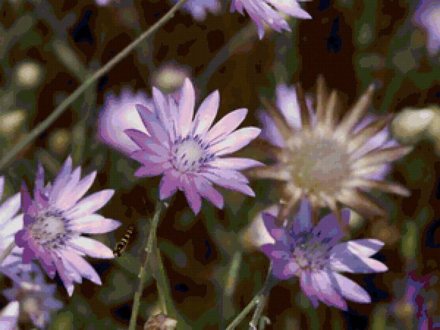 №52231 - предпросмотр