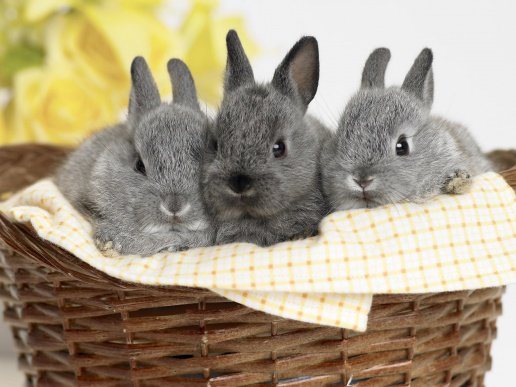 №52271 - оригинал