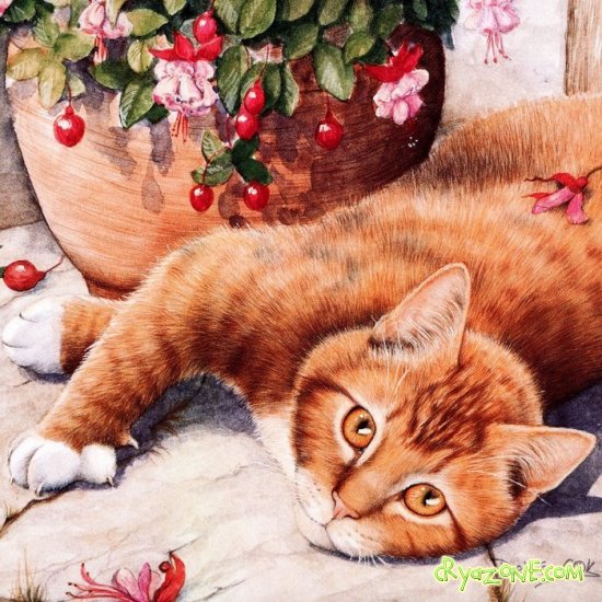 Рыжий котик - животные, цветы, кот - оригинал