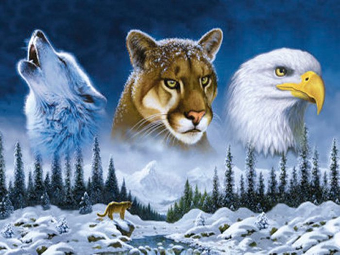 волк,пума,орёл - животные - оригинал