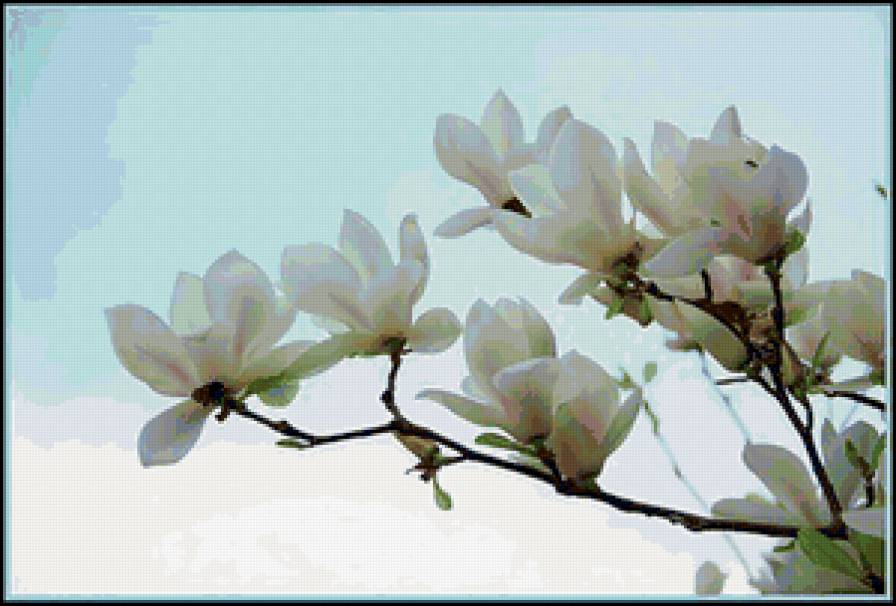 серия Цветы - природа, цветы - предпросмотр