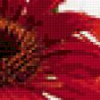 Предпросмотр схемы вышивки «серия Цветы» (№52438)