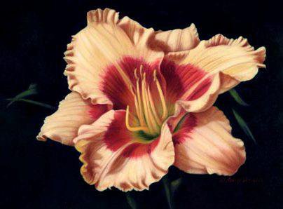 серия Цветы - подушка, природа - оригинал