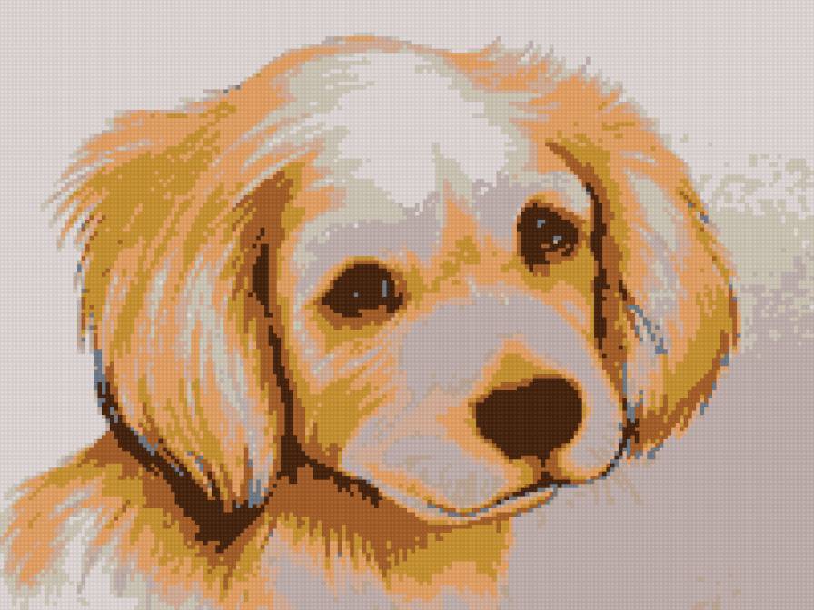 Собака - собака - предпросмотр