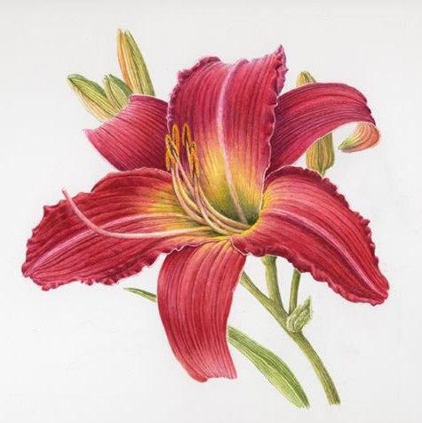 серия Цветы - подушка, цветы - оригинал