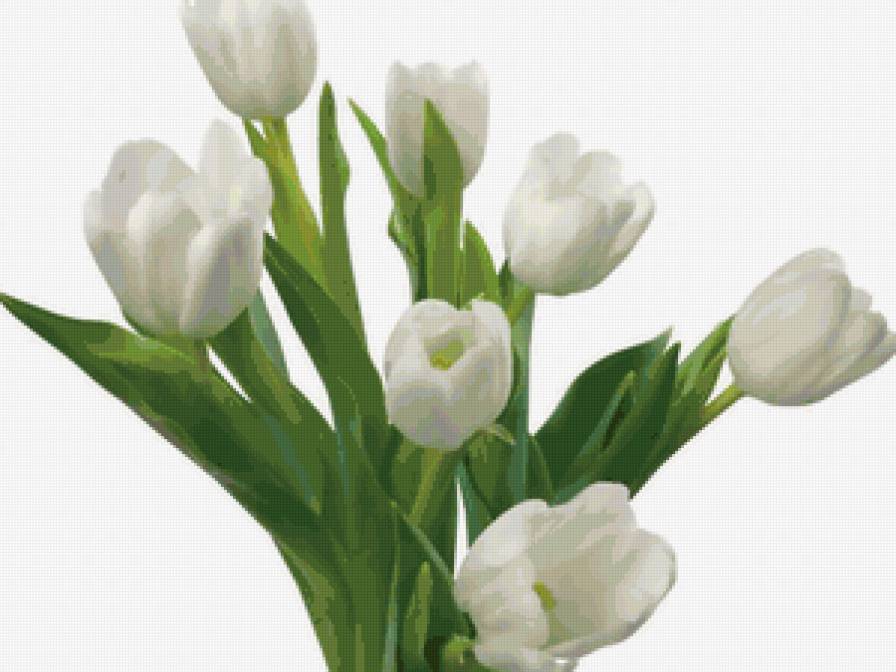 №53004 - предпросмотр