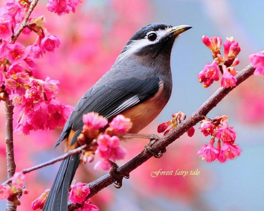 №53315 - оригинал