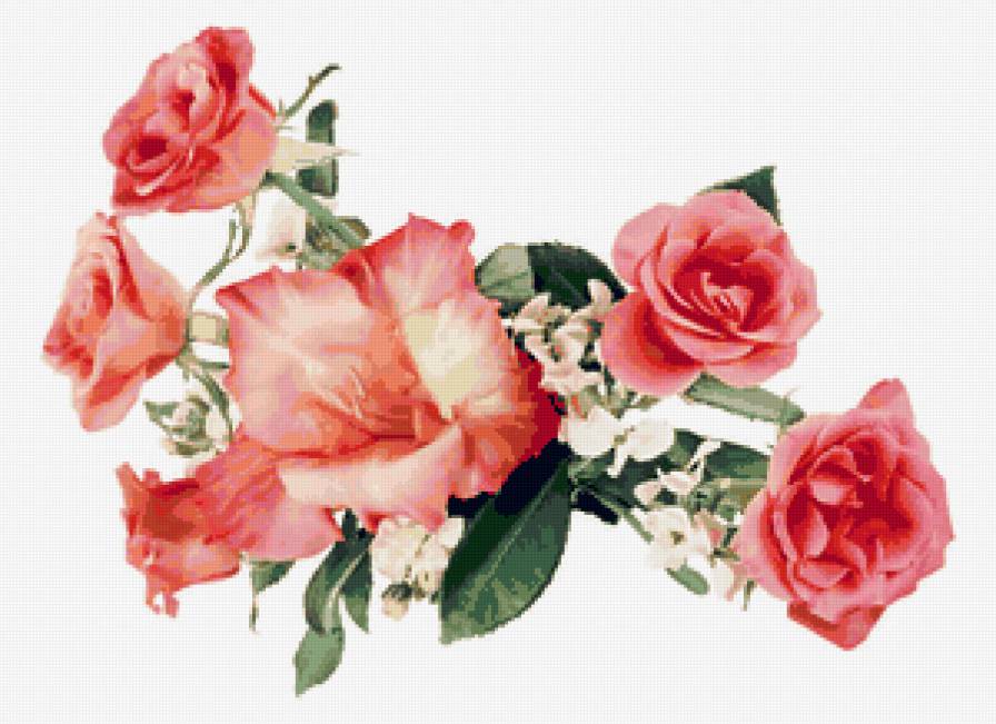 488 - цветы - предпросмотр