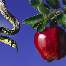 Схема вышивки «змея и яблоко»