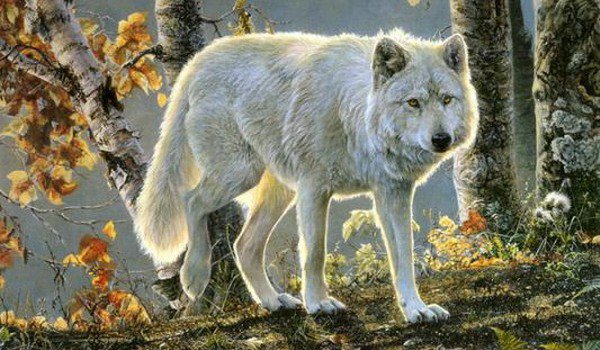 волки 2 - оригинал