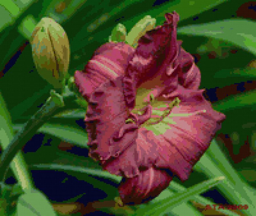 №54395 - лилии, цветы - предпросмотр