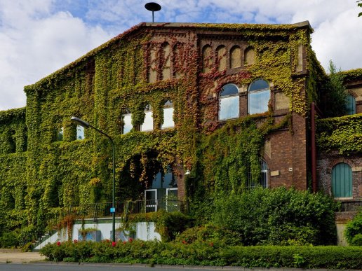 Заросшее здание - оригинал