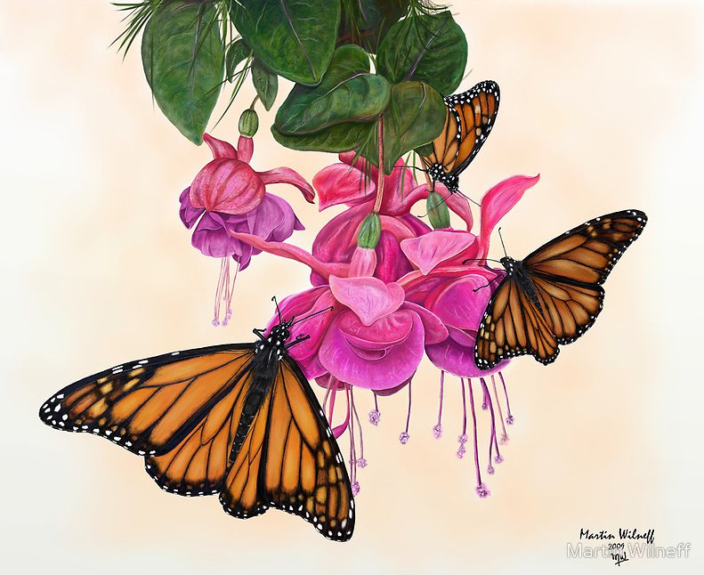 бабочки - природа, цветы, картина - оригинал