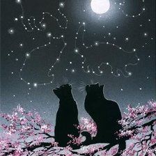 Схема вышивки «кошки»