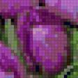 Предпросмотр схемы вышивки «тюльпаны» (№54559)