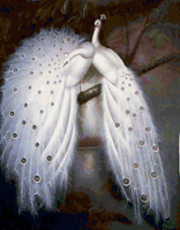 Белые павлины - предпросмотр