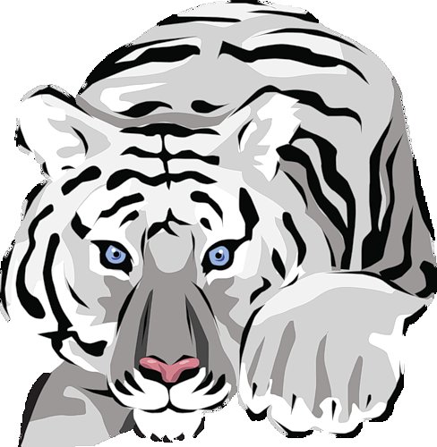 тигр белый - животные - оригинал