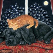 рыжий котенок и щенок