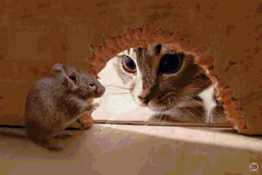 Непрошенный гость - мышь, кот - предпросмотр