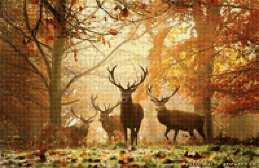 олени - природа, осень, лес, олени, пейзаж - предпросмотр