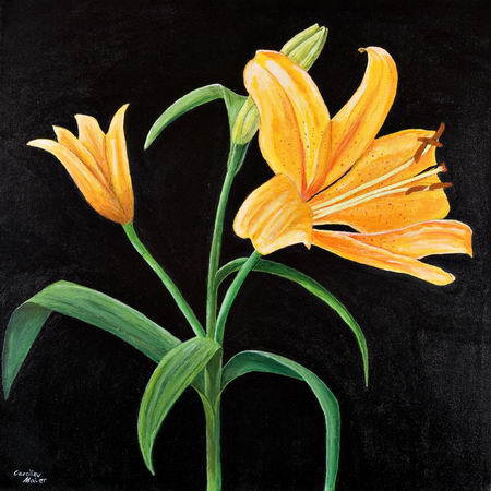 Лилия для подушки - цветы - оригинал