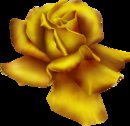 Схема вышивки «золотая роза»