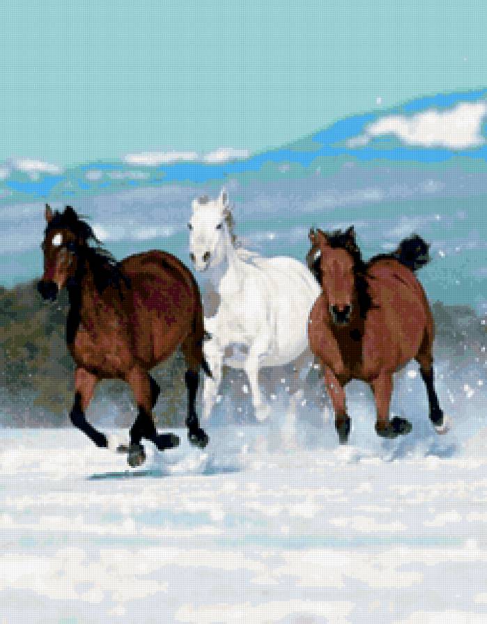 Свободные - животные, пейзаж, лошади, природа - предпросмотр