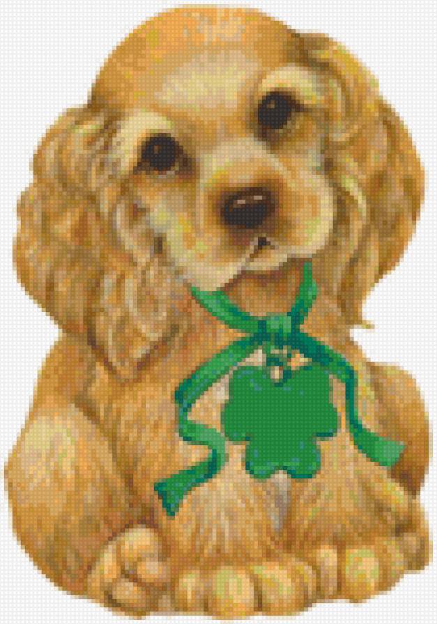 Щенок - щенок, открытка, животные - предпросмотр