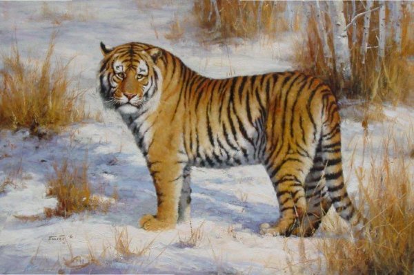 496 - животные - оригинал