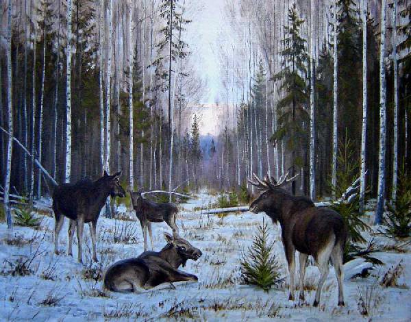 497 - животные - оригинал