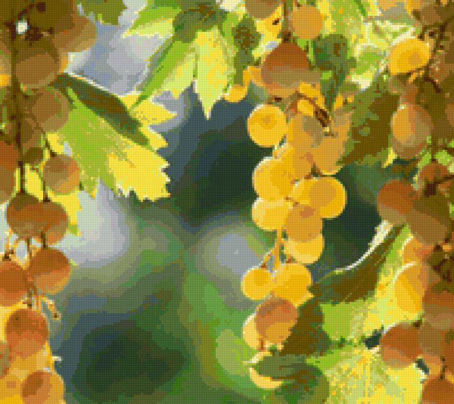 Сочный виноград - фрукты, ягоды - предпросмотр