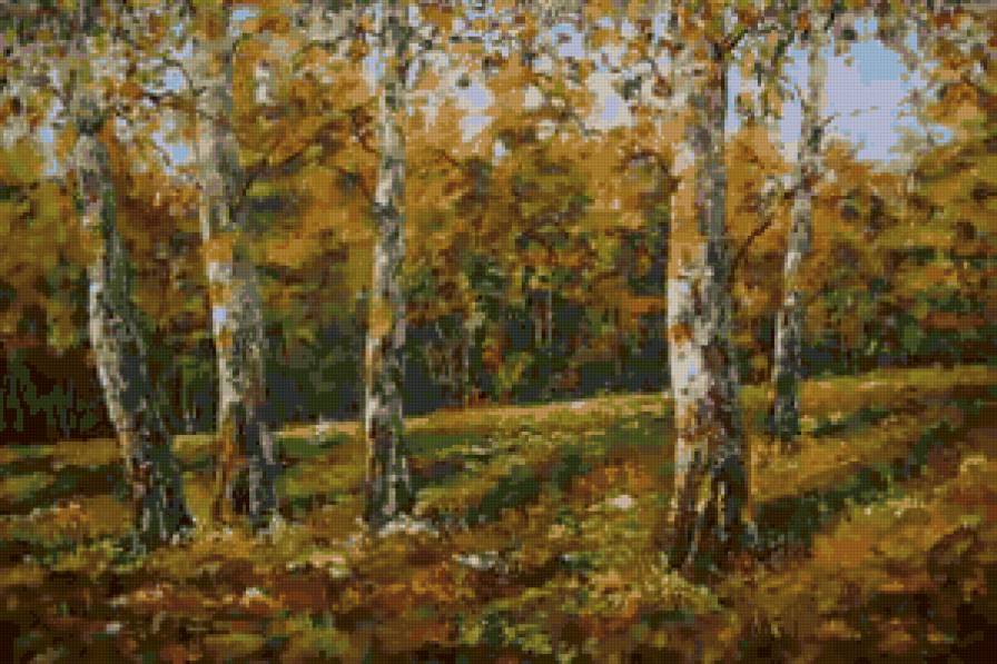 березки - деревья, природа, лес, пейзаж, осень - предпросмотр