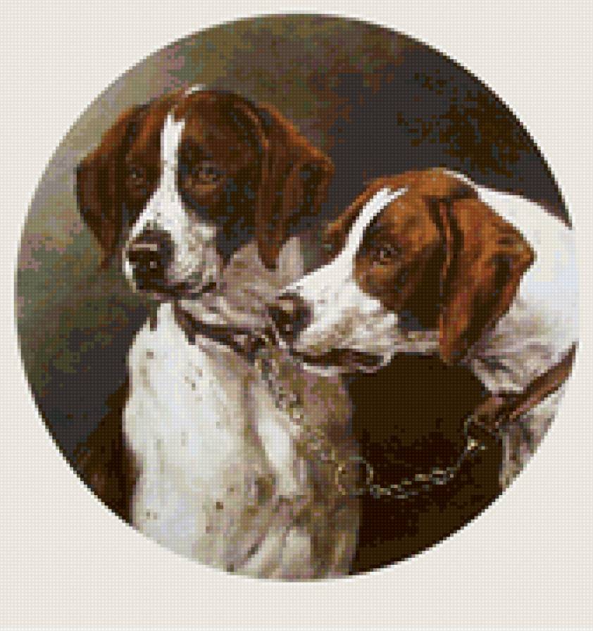 Охотники - животные, собака, охота - предпросмотр