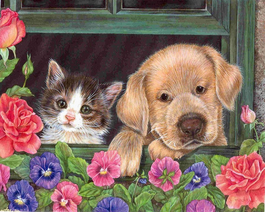Два друга - котенок, цветы, друзья, окно, животные, собака, дружба - оригинал